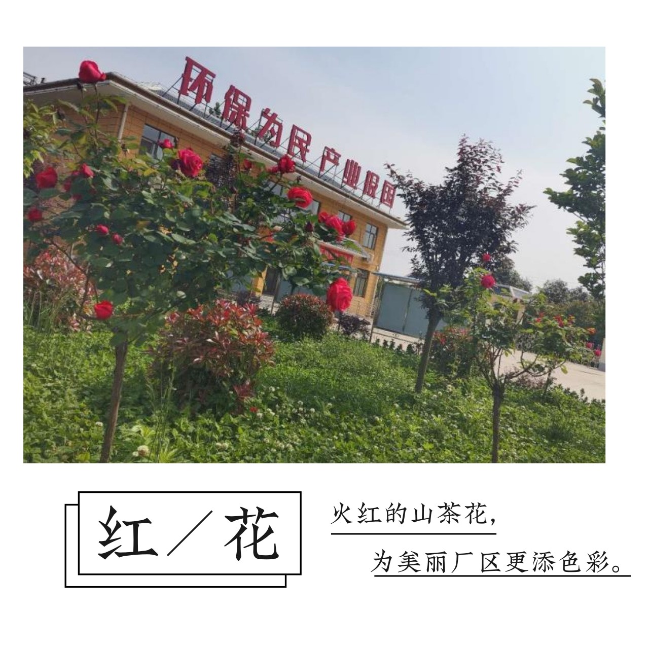 优发国际·随优而动一触即发