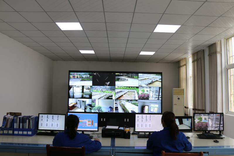 这个端午节，，水情形人这么过（二）